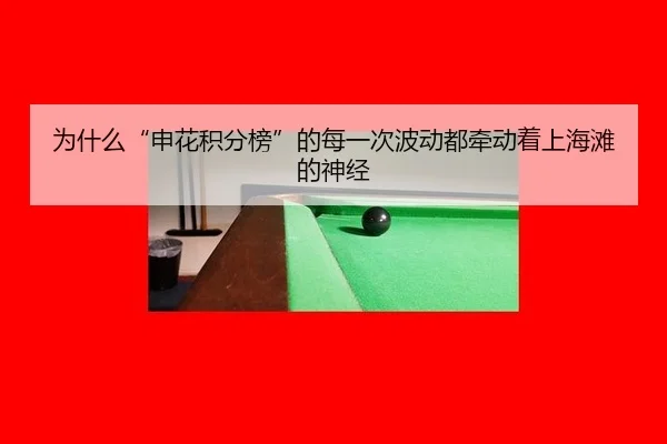 为什么“申花积分榜”的每一次波动都牵动着上海滩的神经